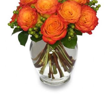 Say It With Flowers - Photo of what I thought she was getting but with white hydrangeas as filler. - Florists Near Me - Cape Coral, Florida