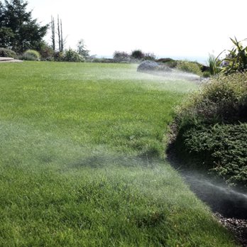 Premier Landscape and Tree Service - Landscaping Near Me - Billings, Montana Premier Landscape and Tree Service - Landscaping Near Me - Billings, Montana