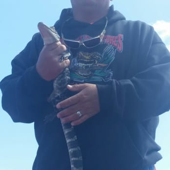 Airboat Adventures - Our guide Mike with the baby alligator we got to hold - Boat Tours Near Me - Lafitte, Louisiana Airboat Adventures - Our guide Mike with the baby alligator we got to hold - Boat Tours Near Me - Lafitte, Louisiana