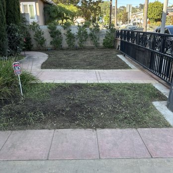 Ecoscape Co - Took out weeds and reseeded the front yard - Lawn Services Near Me