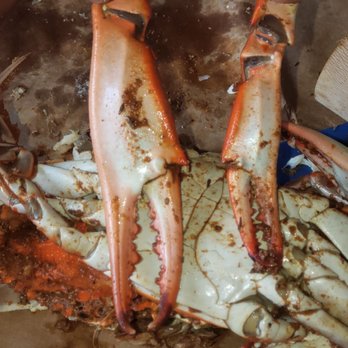 Captain James Crab House - X Jumbo  compared to Medium. - Seafood Near Me - Baltimore, Maryland