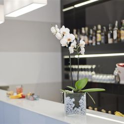 Best Western Plus - Bar Detail