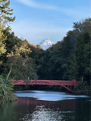 Pukekura Park by null