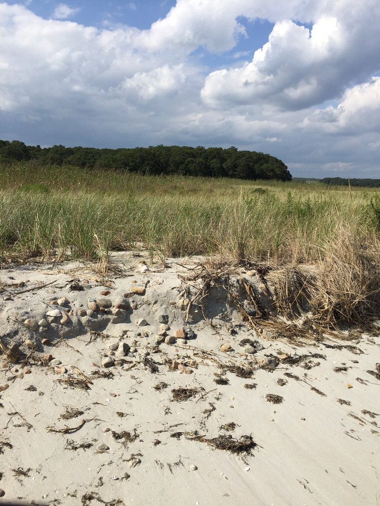 DEMAREST LLOYD STATE PARK Updated November 2024 31 Photos Barney