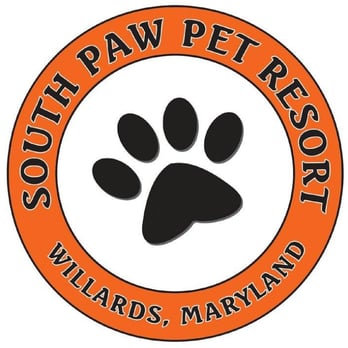 South Paw Pet Resort - Pet Boarding Near Me - Willards, Maryland South Paw Pet Resort - Pet Boarding Near Me - Willards, Maryland