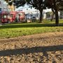 Photo of La Palma Dog Park