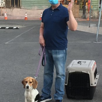 A A Comet Dog Training Services - Waiting for restaurant to seat us. - Pet Training Near Me A A Comet Dog Training Services - Waiting for restaurant to seat us. - Pet Training Near Me