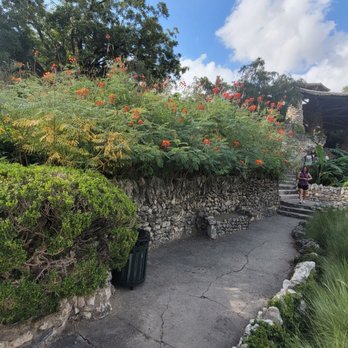 Japanese Tea Garden - Landmarks & Historical Buildings Near Me - San Antonio, Texas Japanese Tea Garden - Landmarks & Historical Buildings Near Me - San Antonio, Texas