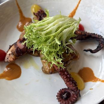 Osteria Marzano - Octopus appetizer - Italian Near Me - Alexandria, Virginia Osteria Marzano - Octopus appetizer - Italian Near Me - Alexandria, Virginia