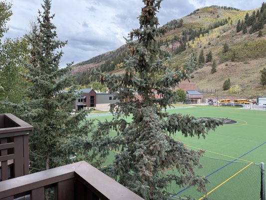 The Hotel Telluride by null