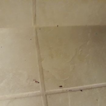 Great Wolf Lodge - Bathroom floor - Resorts Near Me - Grapevine, Texas Great Wolf Lodge - Bathroom floor - Resorts Near Me - Grapevine, Texas