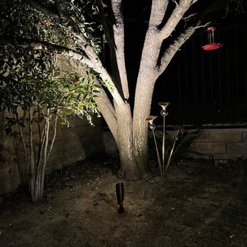 Zest Electric - Landscaping accent lights - Electricians Near Me