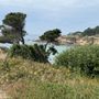 Photo of Cypress Cove