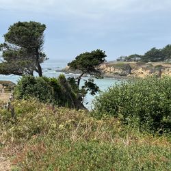 Cypress Cove - View from deck