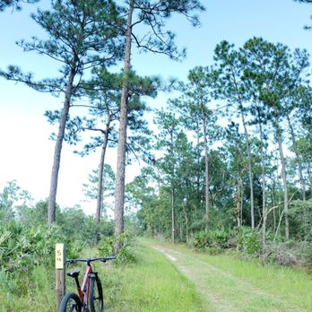 Julington-Durbin Preserve - Back end of Yellow Blaze Trail - Hiking Near Me - Jacksonville, Florida Julington-Durbin Preserve - Back end of Yellow Blaze Trail - Hiking Near Me - Jacksonville, Florida