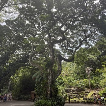 Waimea Valley - Venues & Event Spaces Near Me - Haleiwa, Hawaii Waimea Valley - Venues & Event Spaces Near Me - Haleiwa, Hawaii