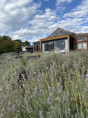 Pialligo Estate by null