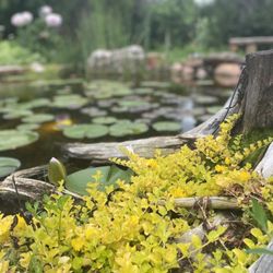 Sweetwater Ponds