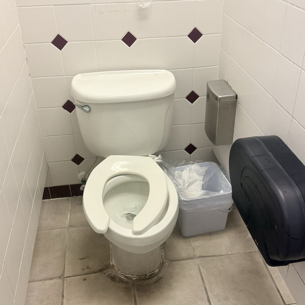 Busted toilet seat Busted toilet seat