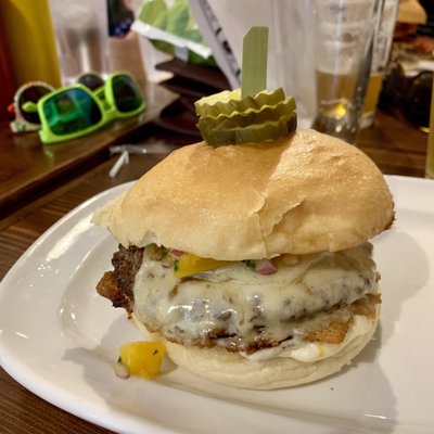 Holy Cow Idaho! by null