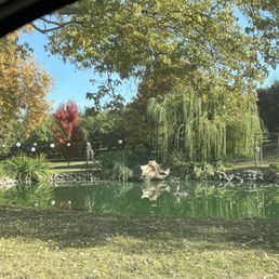 The lake The lake
