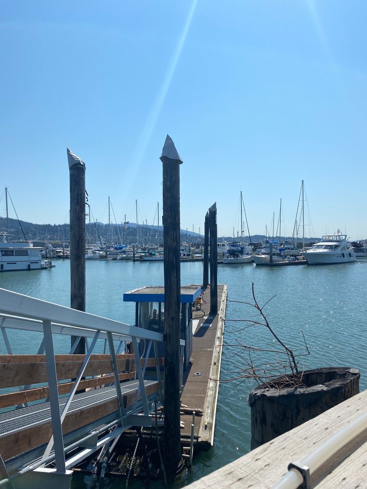 HARBOR MARINE FUEL Updated October 2024 21 Squalicum Way