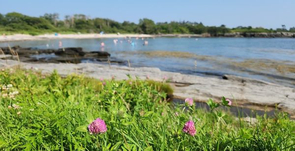 Kettle Cove State Park by null