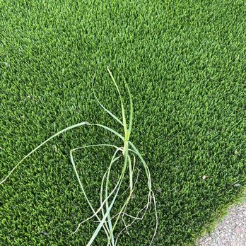 Always Green Turf - Artificial Turf Near Me - Mesa, Arizona