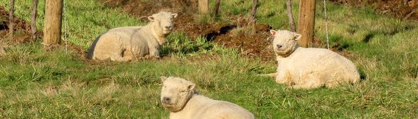 GRAPE + BEAN TASTING ROOM by null