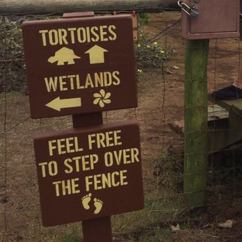 CJM Stables - Sign in tortoise area - Horseback Riding Near Me