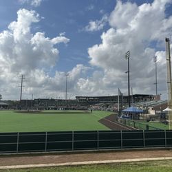 Reckling Park - View from the hill