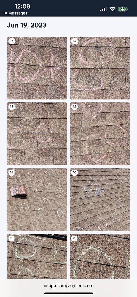 Slide of Momma Bear Roofer