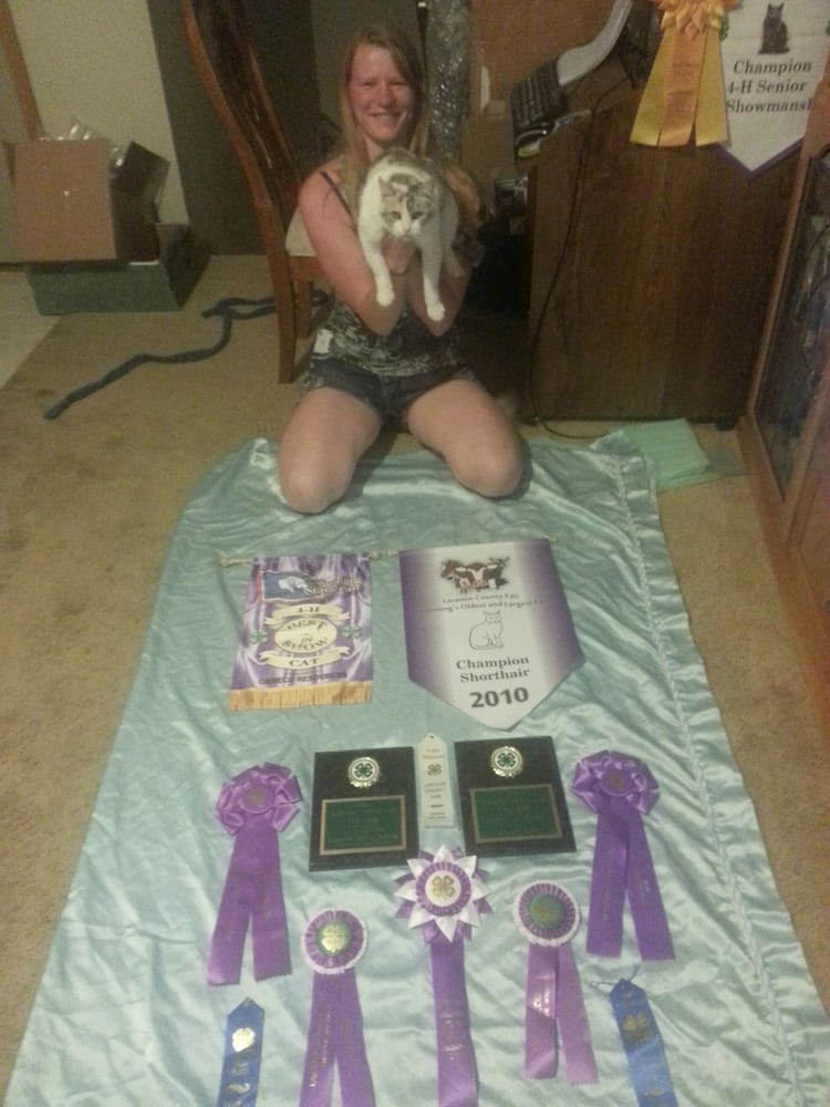 LA ZOETRY PET CLINIC Updated September 2024 10 Reviews 1439