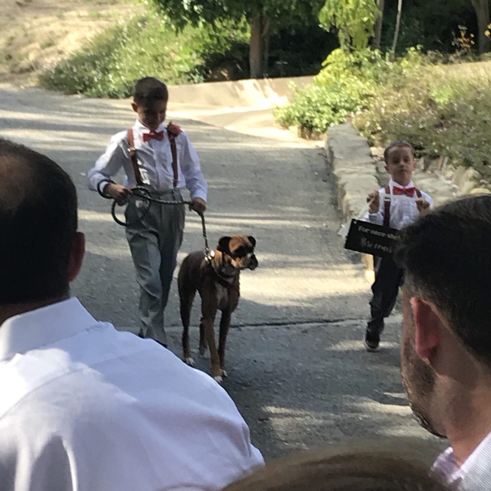 Circle Bar B Ranch - Our ADORABLE ring bearers and doggy starting to walk down the aisle. - Bed & Breakfast Near Me - Goleta, California Circle Bar B Ranch - Our ADORABLE ring bearers and doggy starting to walk down the aisle. - Bed & Breakfast Near Me - Goleta, California