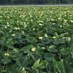 Cherokee Marsh - North Unit