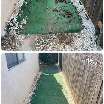 Pup Clean Up - Side yard clean up from 5 dogs. - Pet Waste Removal Near Me