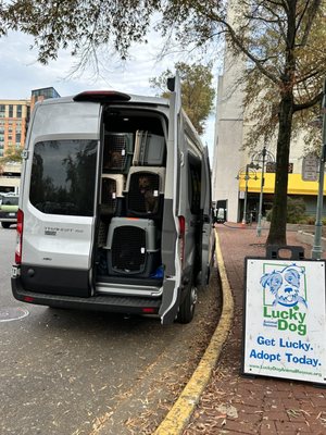 Lucky Dog Animal Rescue by null