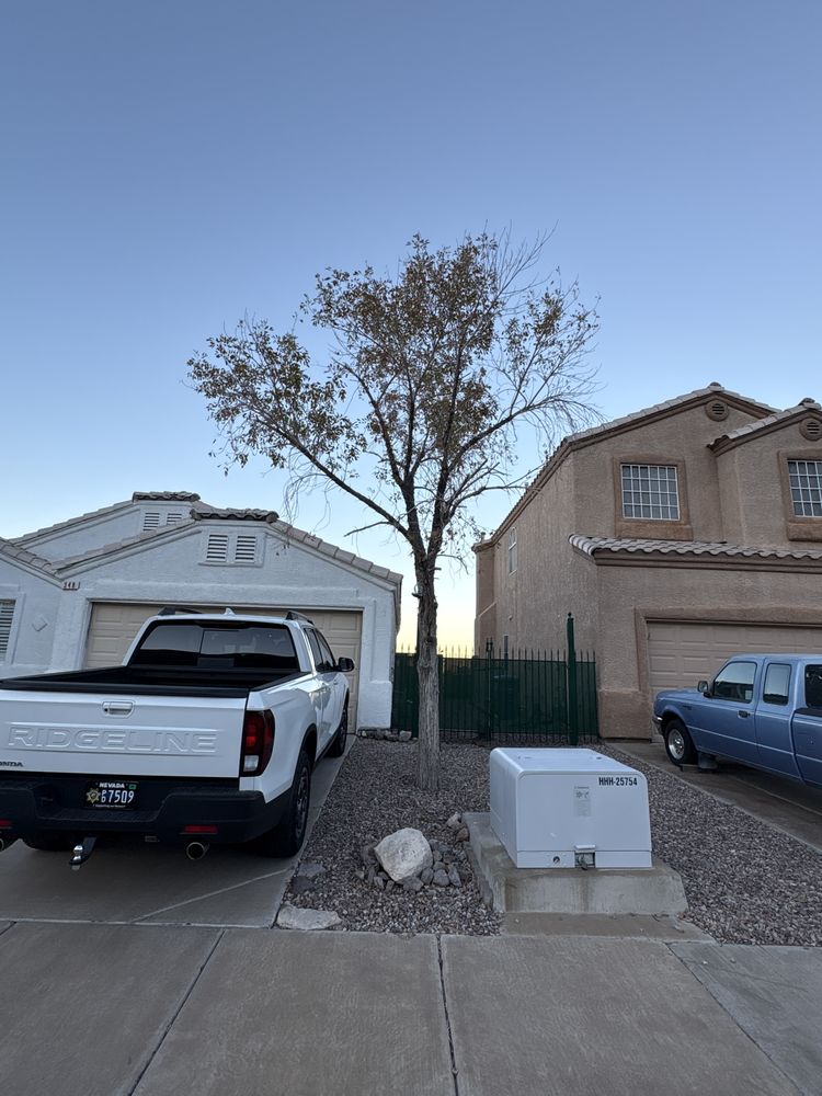 Las Vegas Maintenance & Tree Services - tree service in Las Vegas, NV