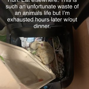 Photo of Blue Water - San Diego, CA, United States. Yelps says: "what's in this photo" 2 and a half hours wasted, no dinner, and no one around to give this time sensitive food away.