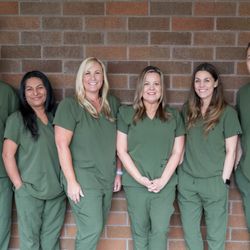 Paradigm Dental
