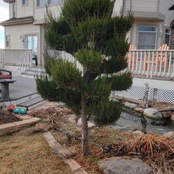 General Home Maintenance - Before. - Lawn Services Near Me General Home Maintenance - Before. - Lawn Services Near Me