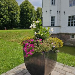 Ahrensburger Schloss
