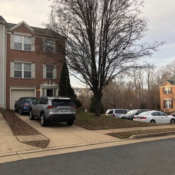 JL Tree Service - Before - 3+ story tree we had removed. - Tree Services Near Me - Fairfax, Virginia