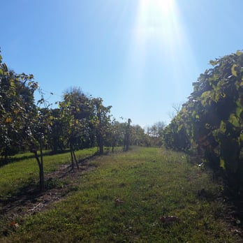 Four Sisters Winery - Grapes - Venues & Event Spaces Near Me - Belvidere, New Jersey Four Sisters Winery - Grapes - Venues & Event Spaces Near Me - Belvidere, New Jersey