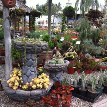 Kniffing's Discount Nursery - Nurseries & Gardening Near Me - El Cajon, California Kniffing's Discount Nursery - Nurseries & Gardening Near Me - El Cajon, California