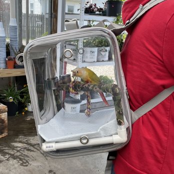 Goodman's Farm Market - A customer had his bird in a backpack cage. I asked if I could take a picture. - Fruits & Veggies Near Me - Niagara Falls, New York
