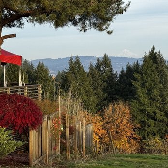 Torii Mor Winery - Wine Tasting Room Near Me - Dundee, Oregon Torii Mor Winery - Wine Tasting Room Near Me - Dundee, Oregon