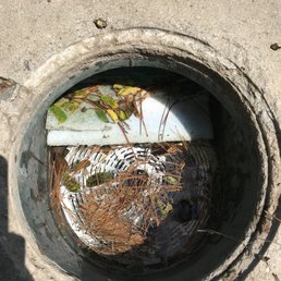 They didn't even empty the skimmer. They didn't even empty the skimmer.