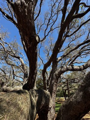 Fort Matanzas National Monument by null