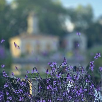 Italian Gardens - Parks Near Me - London, XGL Italian Gardens - Parks Near Me - London, XGL
